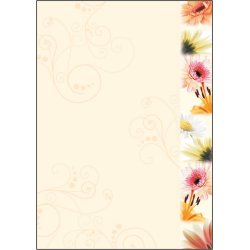 Sigel DP788 greeting/sympathy card
