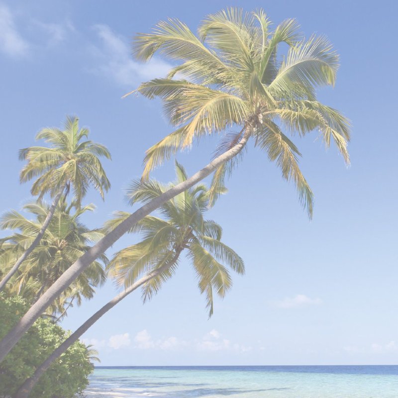 Sigel HO470 desk pad Paper Multicolour