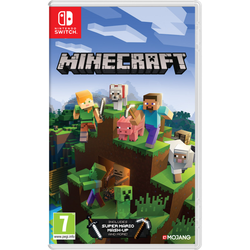 Minecraft switch standard