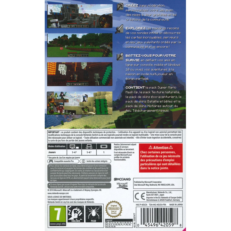 Minecraft switch standard