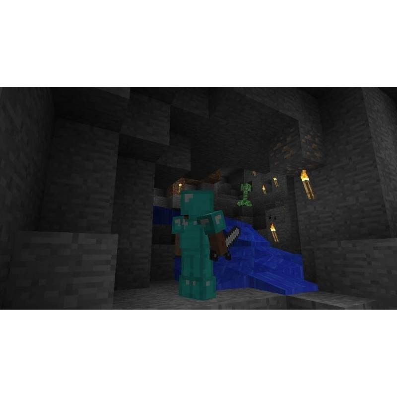 Nintendo Minecraft : Switch Edition