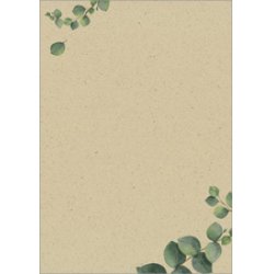 sigel Papier design, papier "Eucalyptus", A4, 100 g/m2