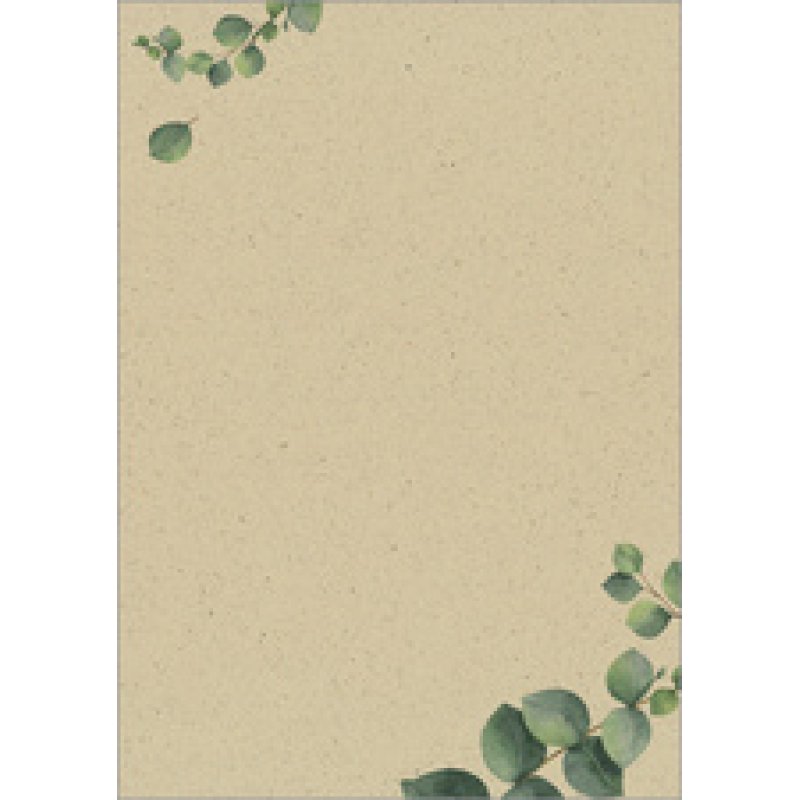 sigel Papier design, papier "Eucalyptus", A4, 100 g/m2