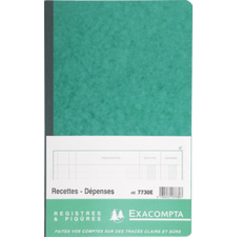 EXACOMPTA Piqûre "Recettes et dépenses", 320 x 195 mm