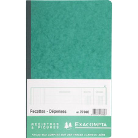 EXACOMPTA Piqûre "Recettes et dépenses", 320 x 195 mm