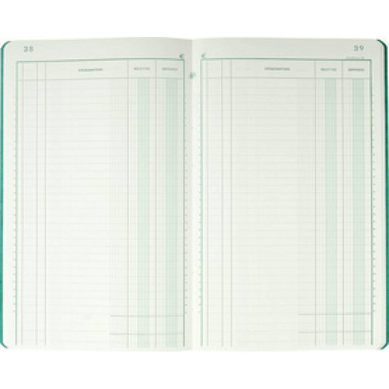 EXACOMPTA Piqûre "Recettes et dépenses", 320 x 195 mm