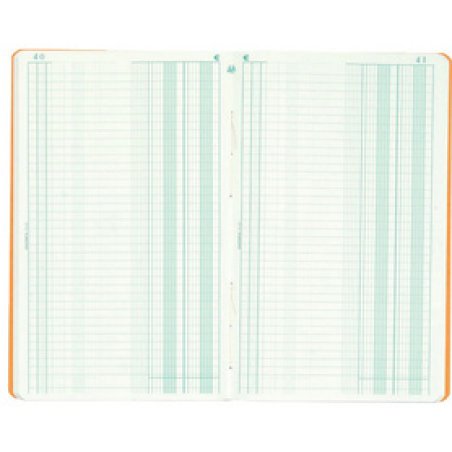 EXACOMPTA Piqûre "Journal triplé folioté", 320 x 195 mm