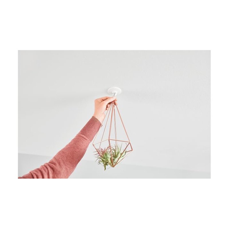 TESA 77781 Indoor Utility hook White 1 pc(s)