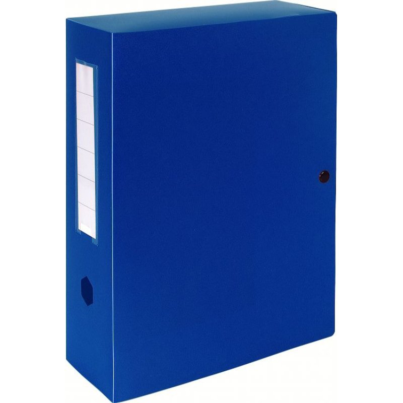 Exacompta 59932E file storage box Polypropylene (PP) Blue