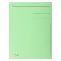 Exacompta 449013E folder Green