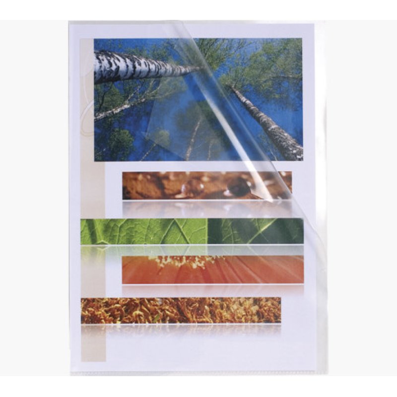 Exacompta 5610E sheet protector 210 x 297 mm (A4) Polypropylene (PP)