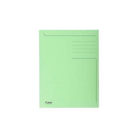 EXACOMPTA Chemise imprimée Foldyne 300, A4, vert pastel