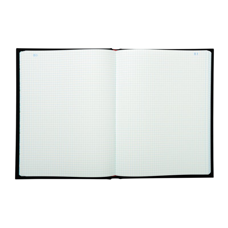 EXACOMPTA Registre Quadrillé 5x5, A4, 300 pages