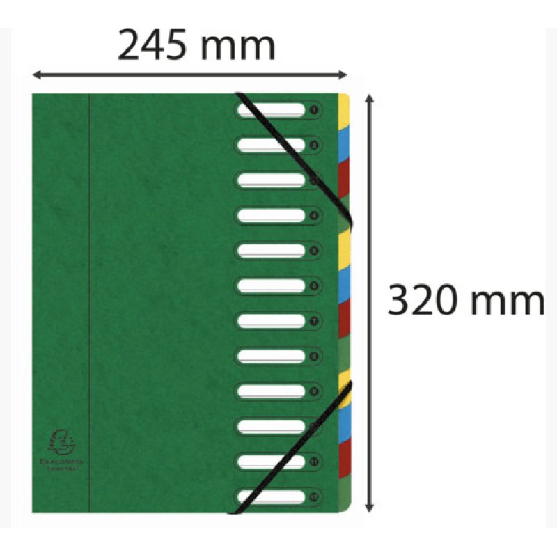 EXACOMPTA Trieur Harmonika, A4, 12 compartiments, vert
