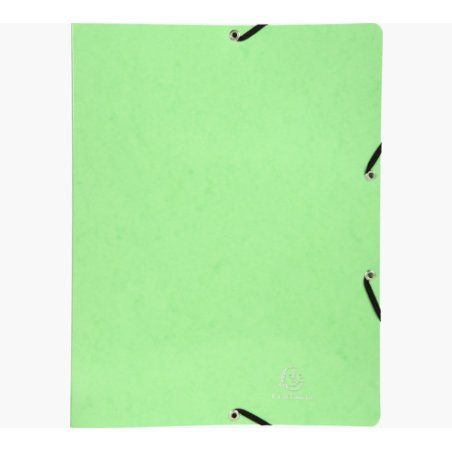 EXACOMPTA Classeur Iderama, 2 anneaux, A4, vert anis