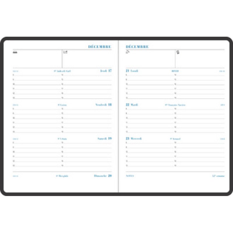 EXACOMPTA Agenda de bureau "Pratic 19", 2025, Barbara, noir