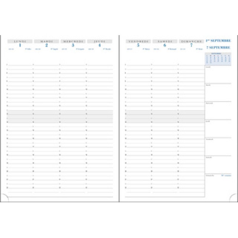 EXACOMPTA Agenda de bureau SAD 29 NIL, 2024/2025, 16 mois