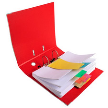 EXACOMPTA Fiches intercalaires trapézoïdales, carton, vert