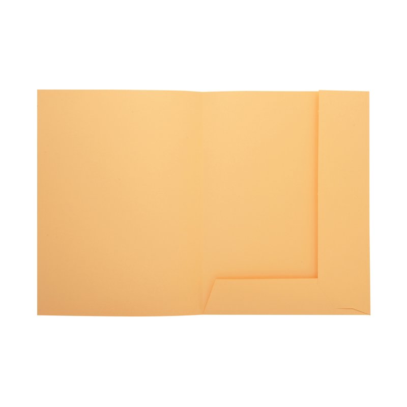 Exacompta 335002E fichier Carton A4