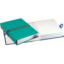 EXACOMPTA Chemise à dos extensible Balacron, vert