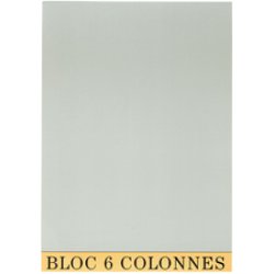 EXACOMPTA Bloc de contrôle comptable, 297 x 210 mm