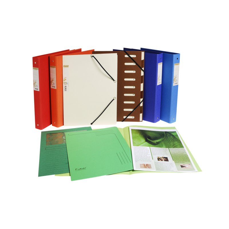 Exacompta 50107E fichier Carton Vert A4