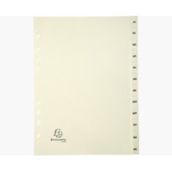 EXACOMPTA Intercalaires carte peau d'âne, mensuel Jan-Déc