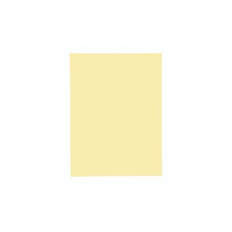 Exacompta 348005E fichier Jaune A4