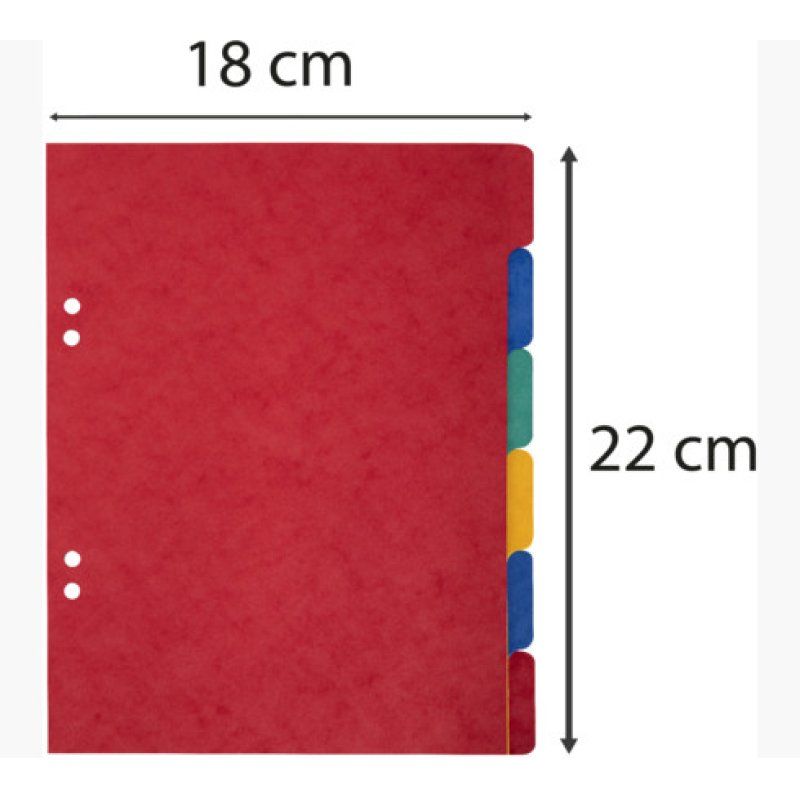 Exacompta 406E divider Carton
