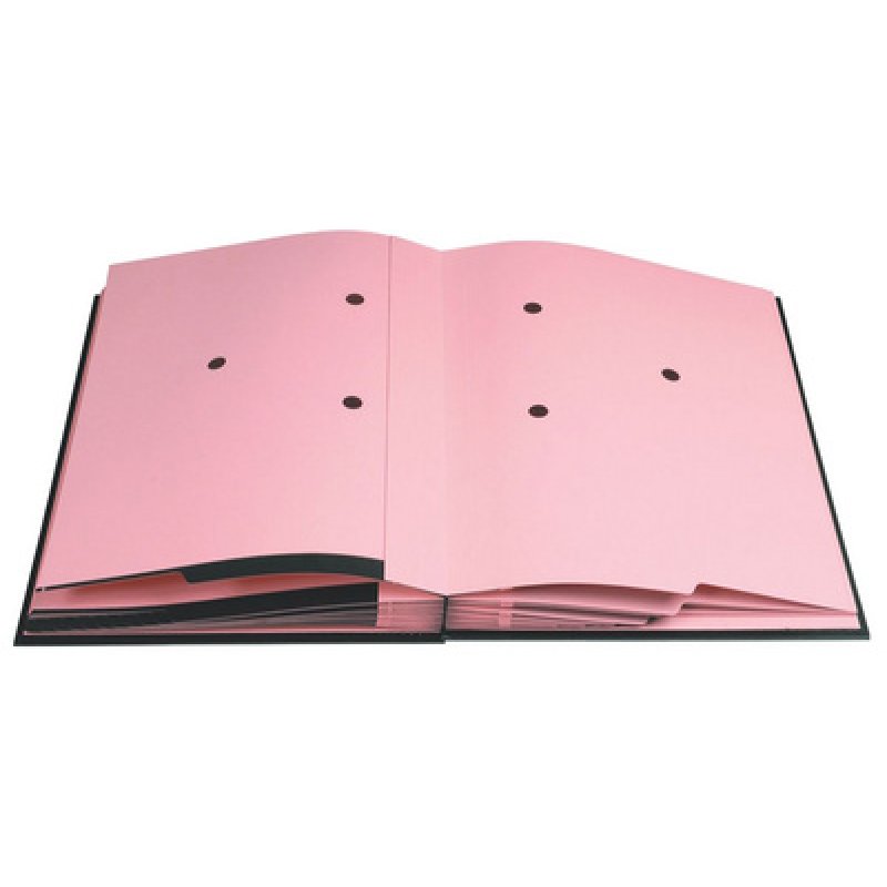 EXACOMPTA Parapheur Direction, A4, 20 compartiments, vert