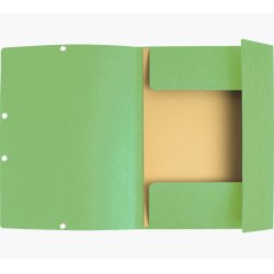 EXACOMPTA Chemise à élastiques, A4, carton, vert tilleul