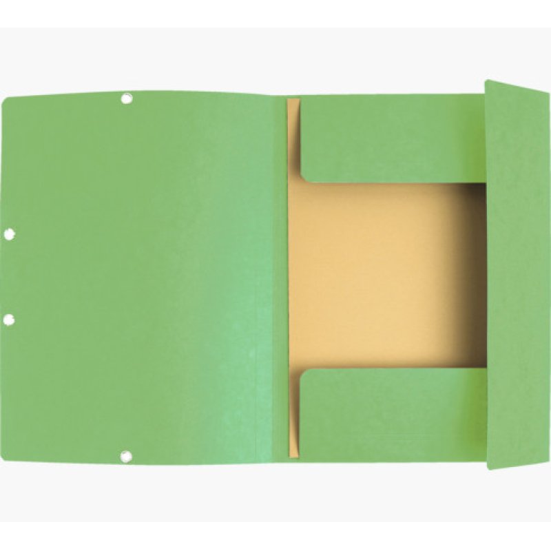 EXACOMPTA Chemise à élastiques, A4, carton, vert tilleul