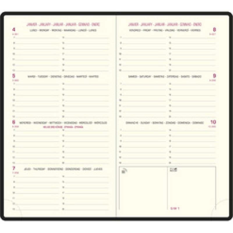 EXACOMPTA Recharge pour agenda "Eurotime 16", 2025