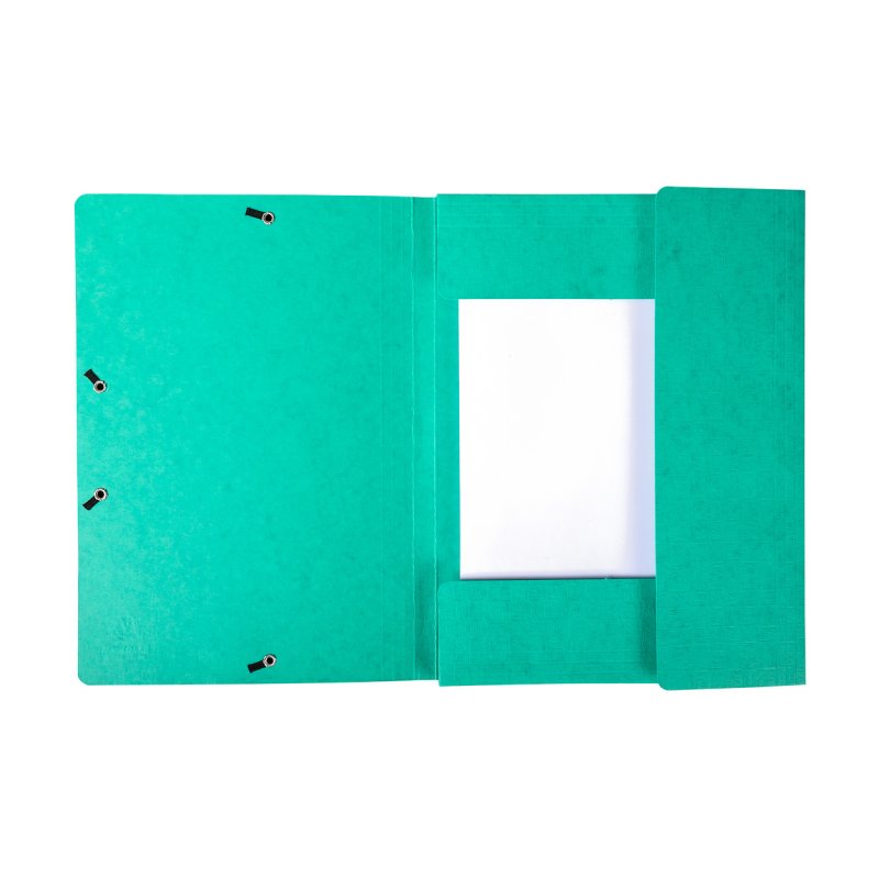 Exacompta 55753E folder Carton Green A4