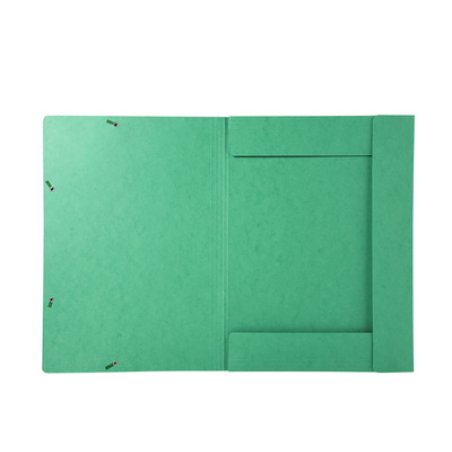 EXACOMPTA Chemise à élastique, A3, carton, vert