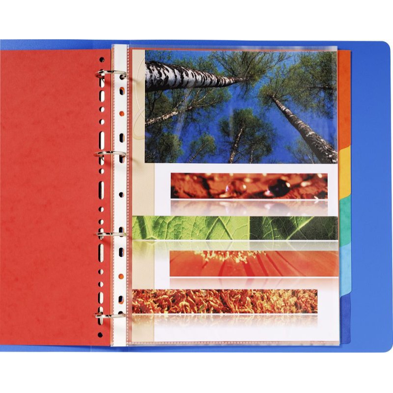 EXACOMPTA Intercalaires en carton, A4 , 6 touches