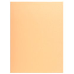 EXACOMPTA Chemise SUPER 250, A4, bulle