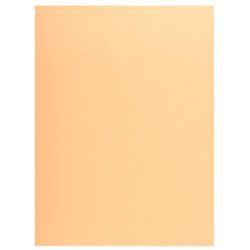 Exacompta Jura 250 Cream A4