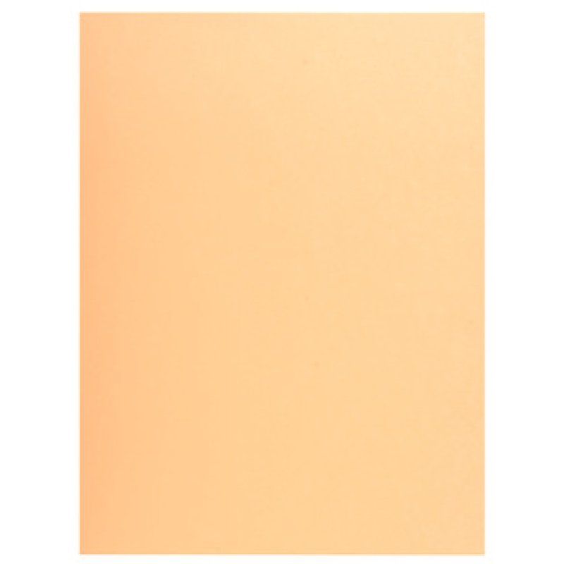 Exacompta Jura 250 Crème A4