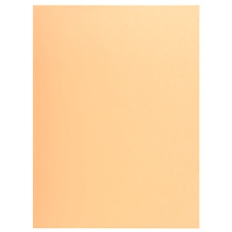 EXACOMPTA Chemise SUPER 250, A4, bulle