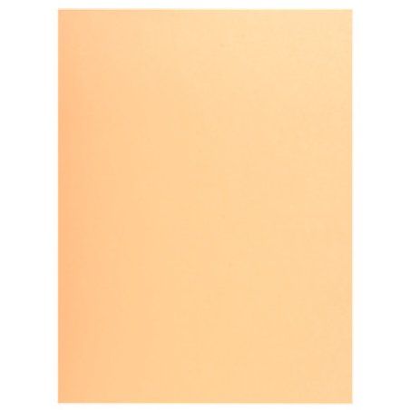 Exacompta Jura 250 Crème A4