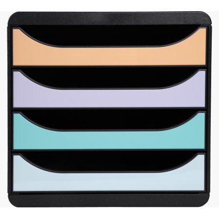 Exacompta 3104296D Boîte à archives Plastique Beige, Noir, Vert, Gris, Rose