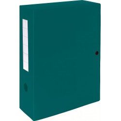 Exacompta 59933E file storage box Green