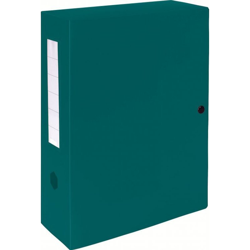 Exacompta 59933E file storage box Green