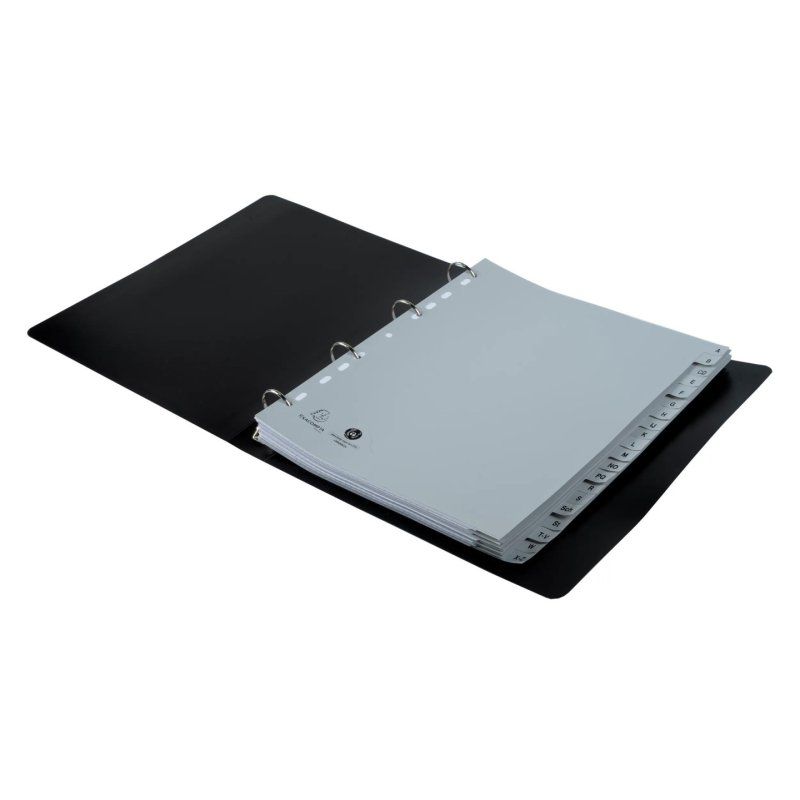 Exacompta 1920B trieur Gris Polypropylène (PP) A4