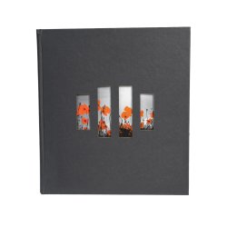 EXACOMPTA Album photos MILANO 290 x 320 mm, noir