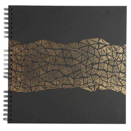 Exacompta Aramy album photo et protège-page Noir, Or 360 feuilles Reliure spiralée