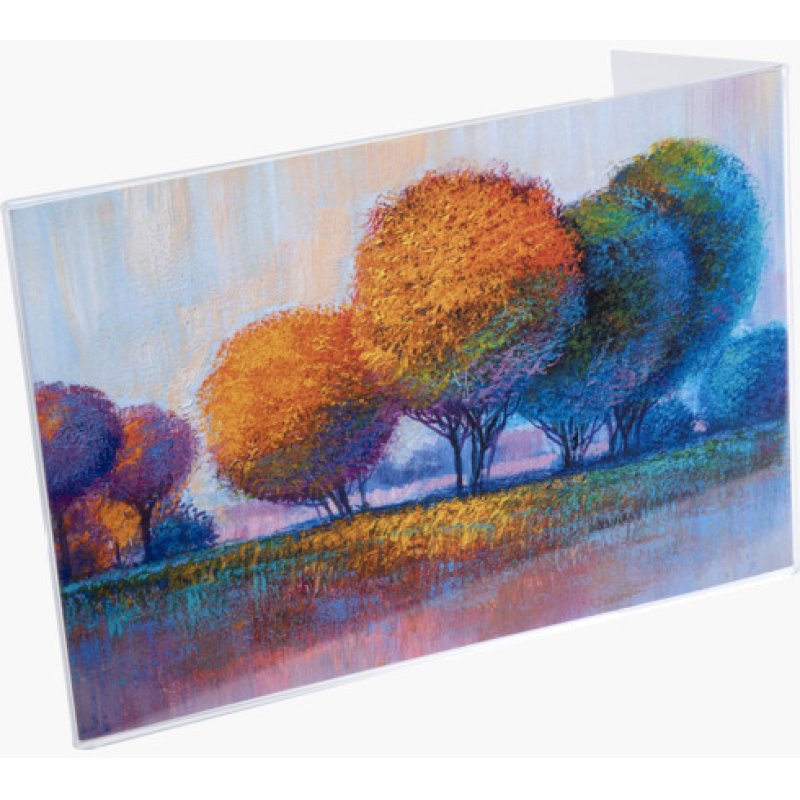 Exacompta 85058D support de panneau et stand d'information A5 polyméthacrylate de méthyle (PMMA) Transparent