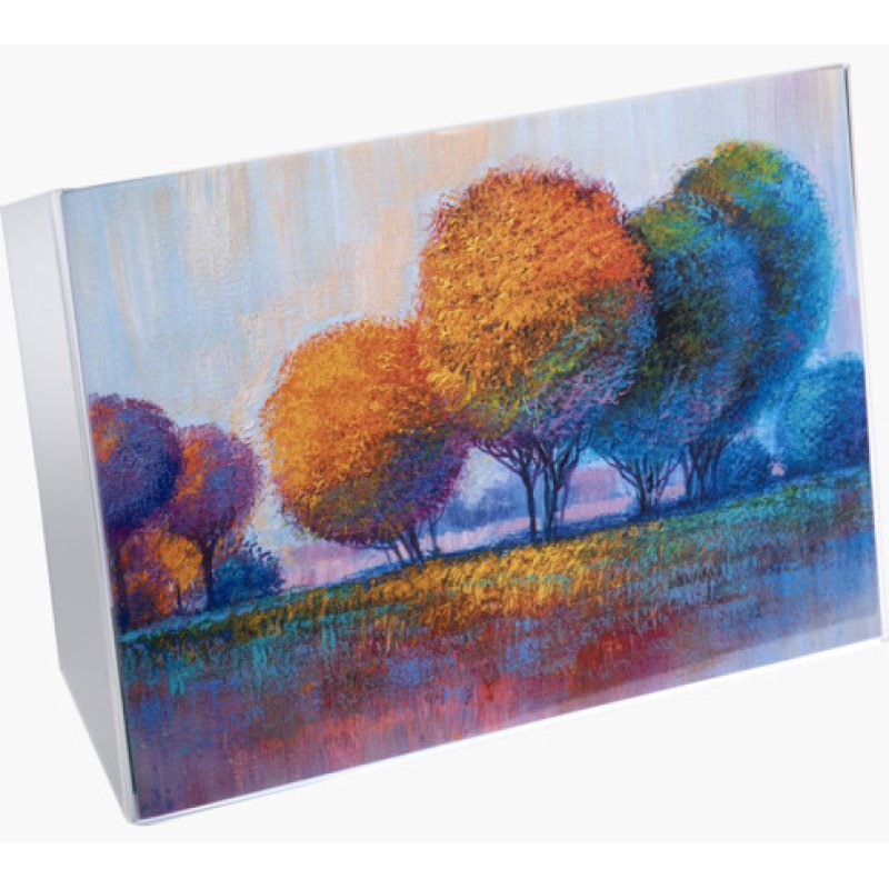 EXACOMPTA Porte-visuel, A5 portrait, incliné