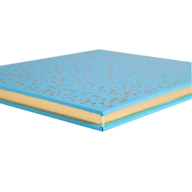 EXACOMPTA Livre d'or Plum, 210 x 190 mm, turquoise / doré